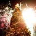photo of christmas tree and fireworks